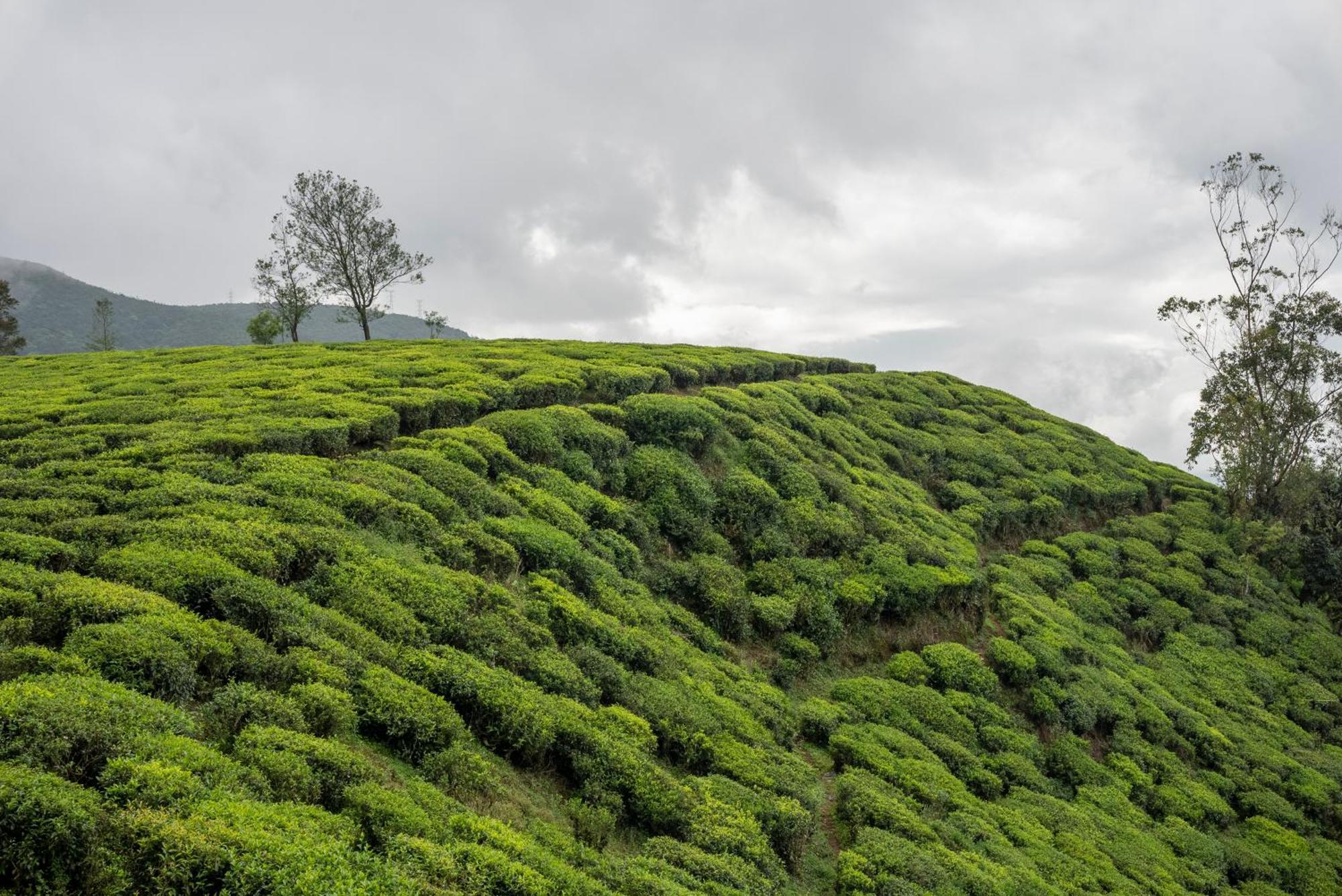 Aaradhya Nuwara Eliya Hotel Exterior foto