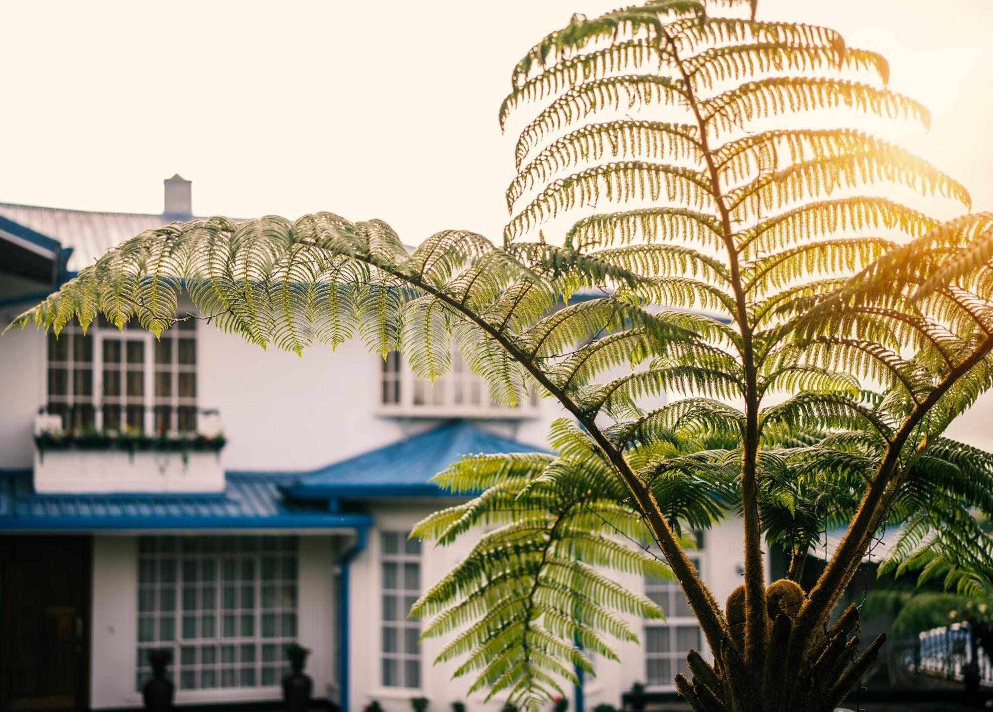 Aaradhya Nuwara Eliya Hotel Exterior foto